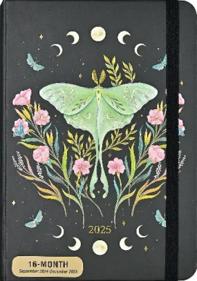 Peter Pauper 2025 16-month Agenda | Luna Moth