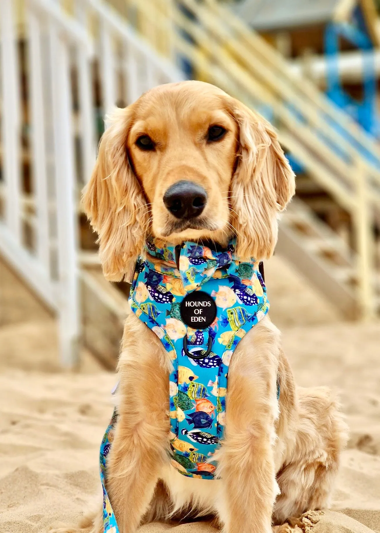 Under The Sea Design Poop Bag Holder