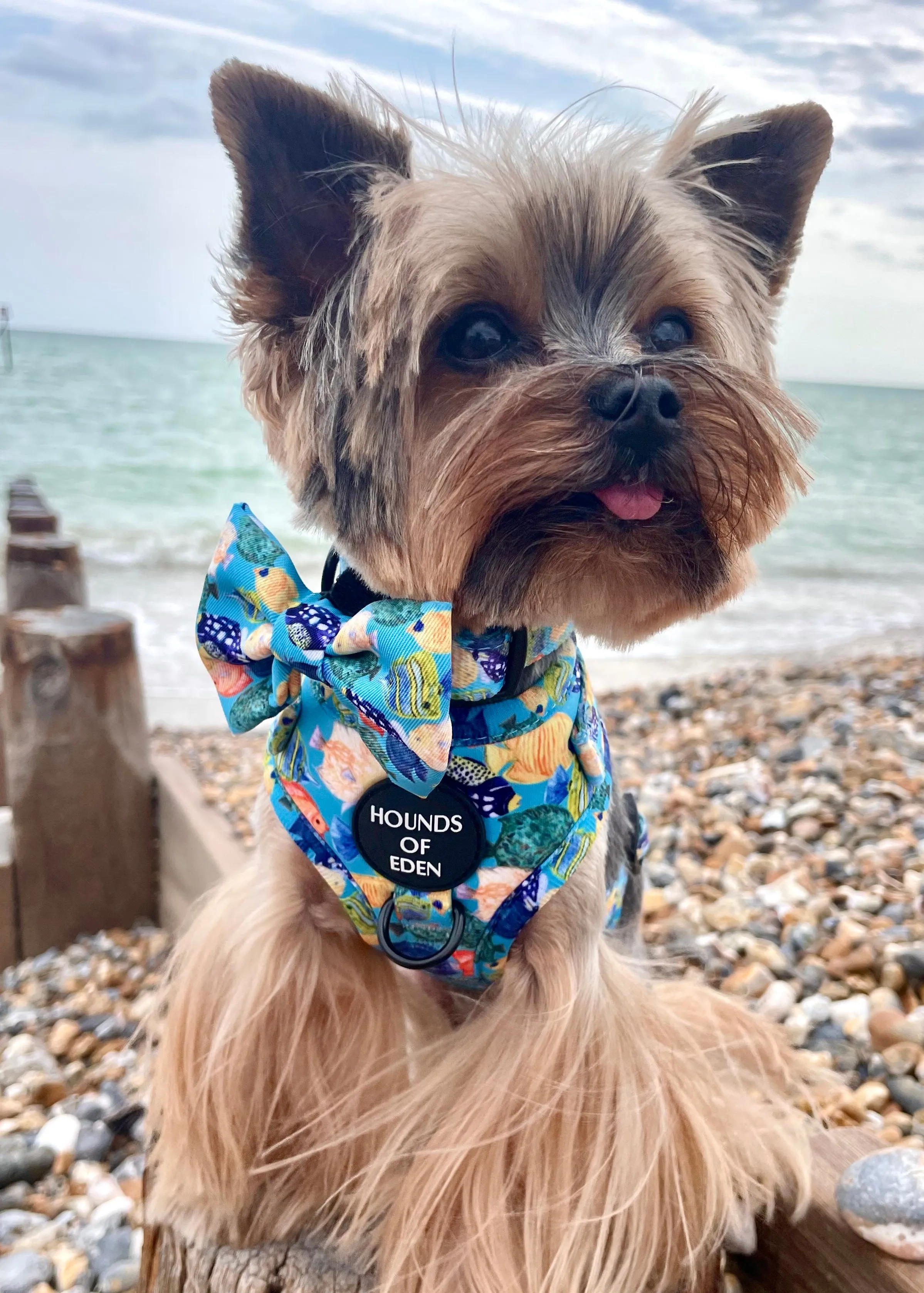 Under The Sea Design Poop Bag Holder